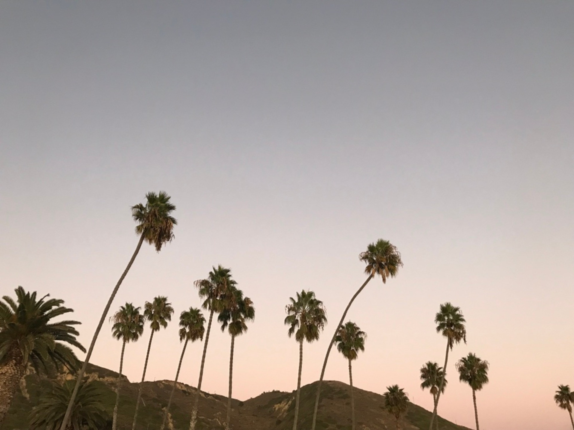 株式会社Sun&Rainbows